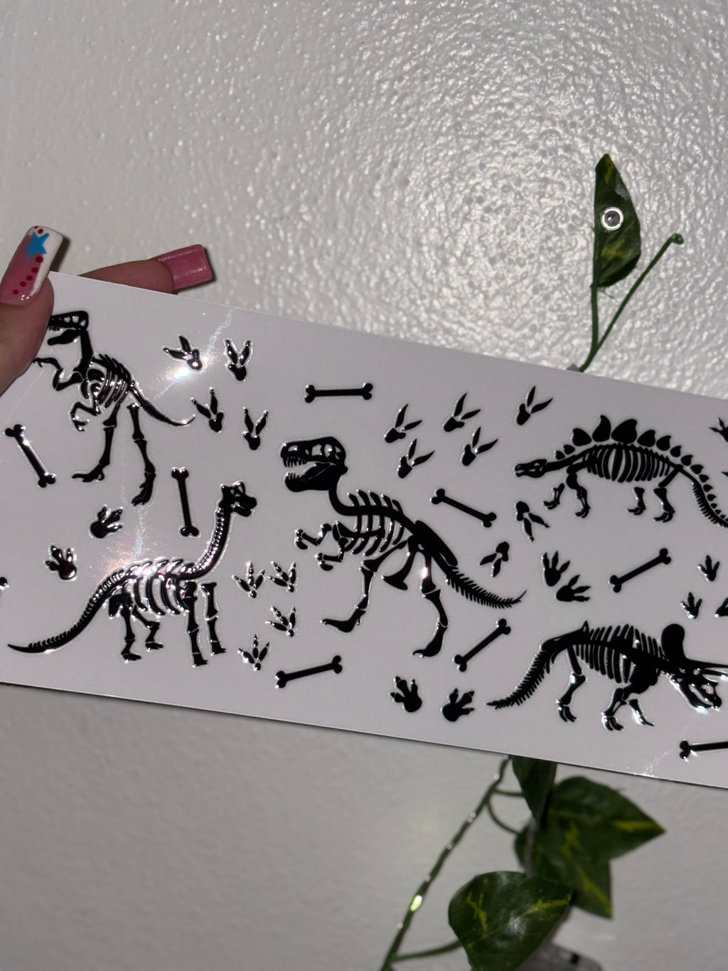 Dinasour wraps