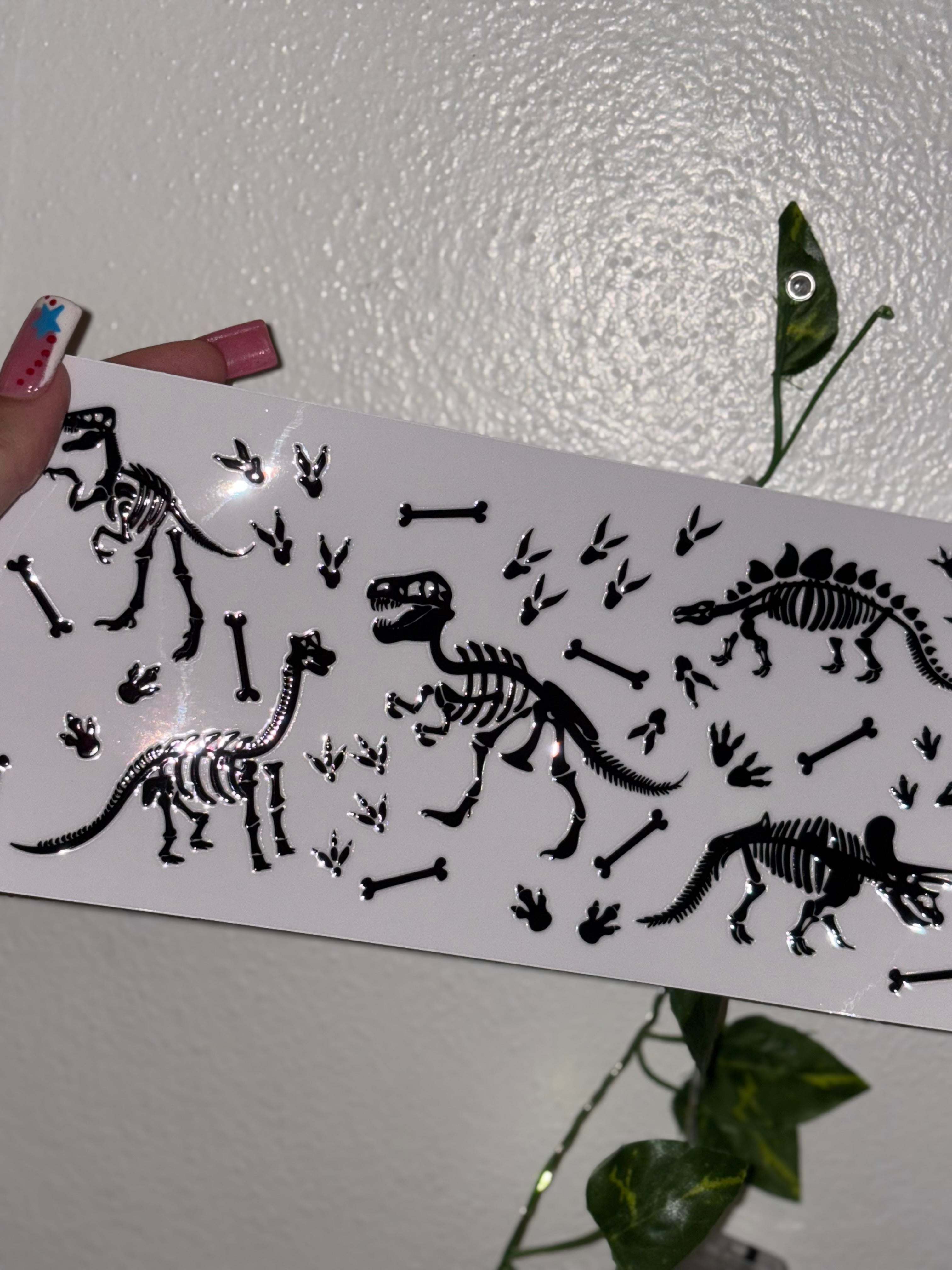 Dinasour wraps
