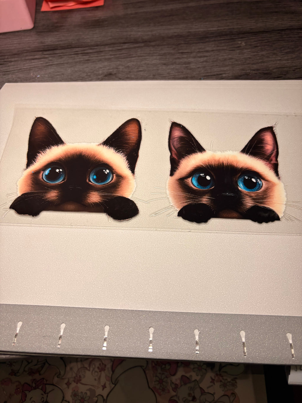 Animal/insect wraps🌵.