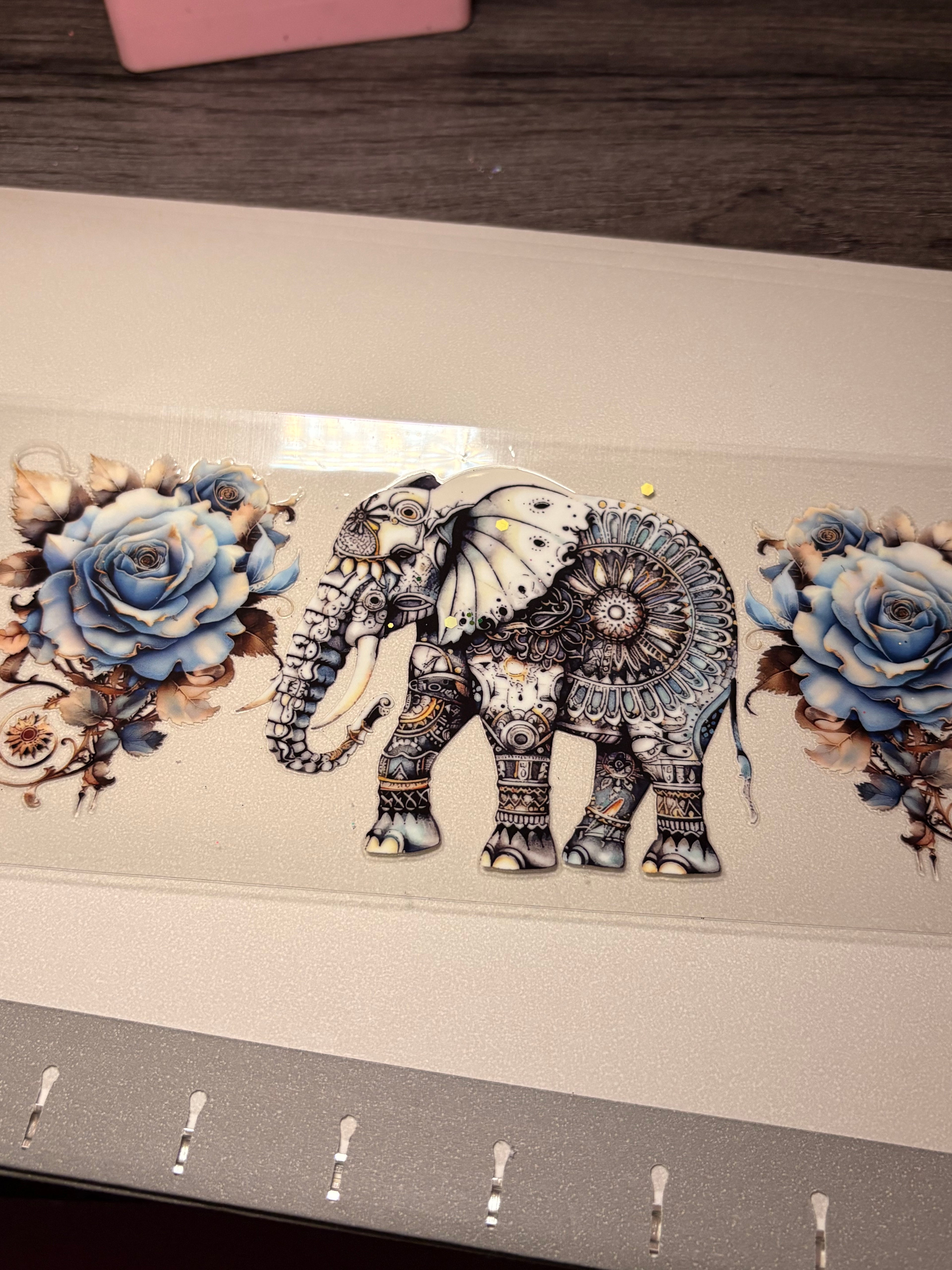 Animal/insect wraps🌵.