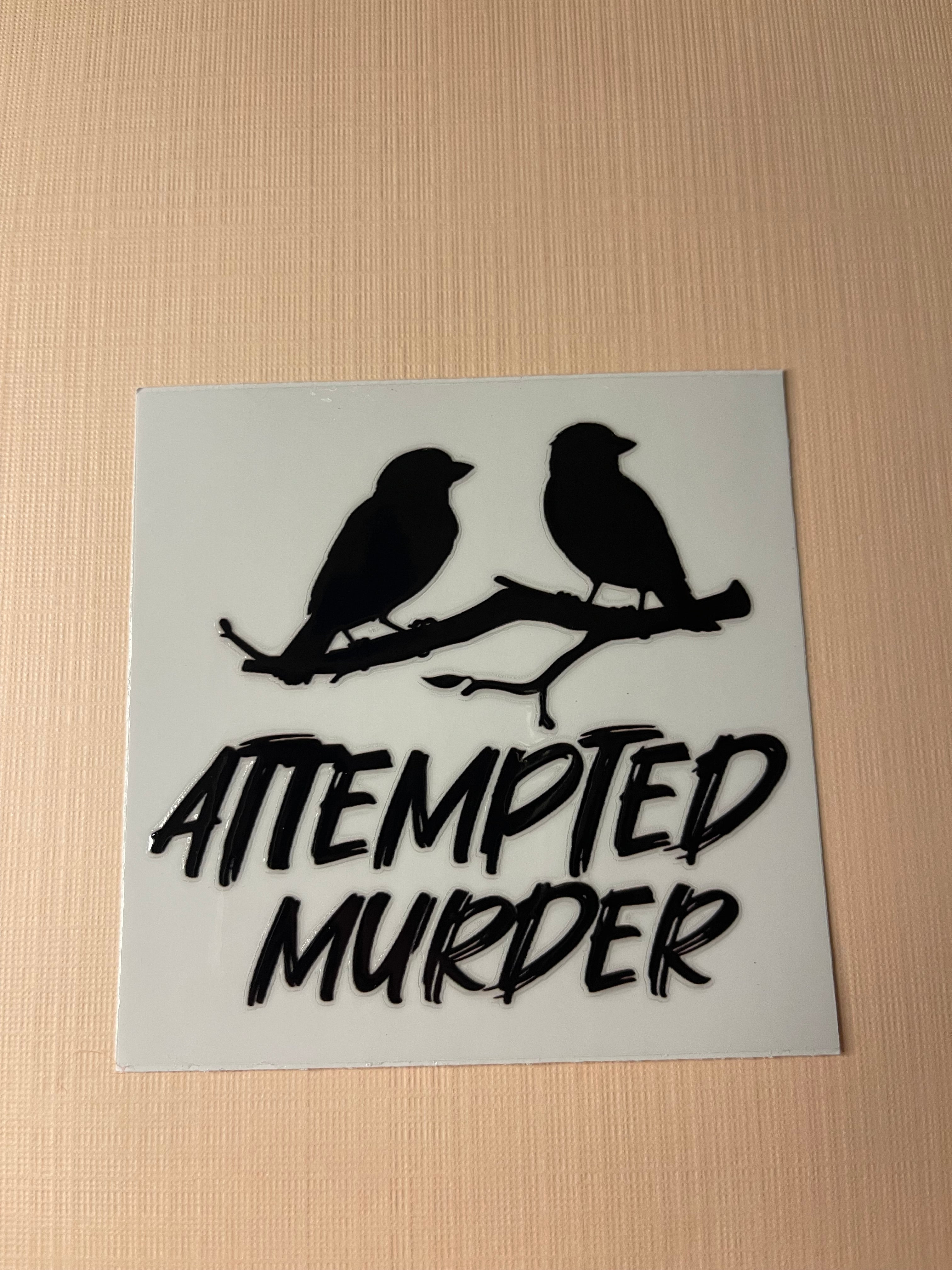 QUOTE/ AFFIRMATION decal