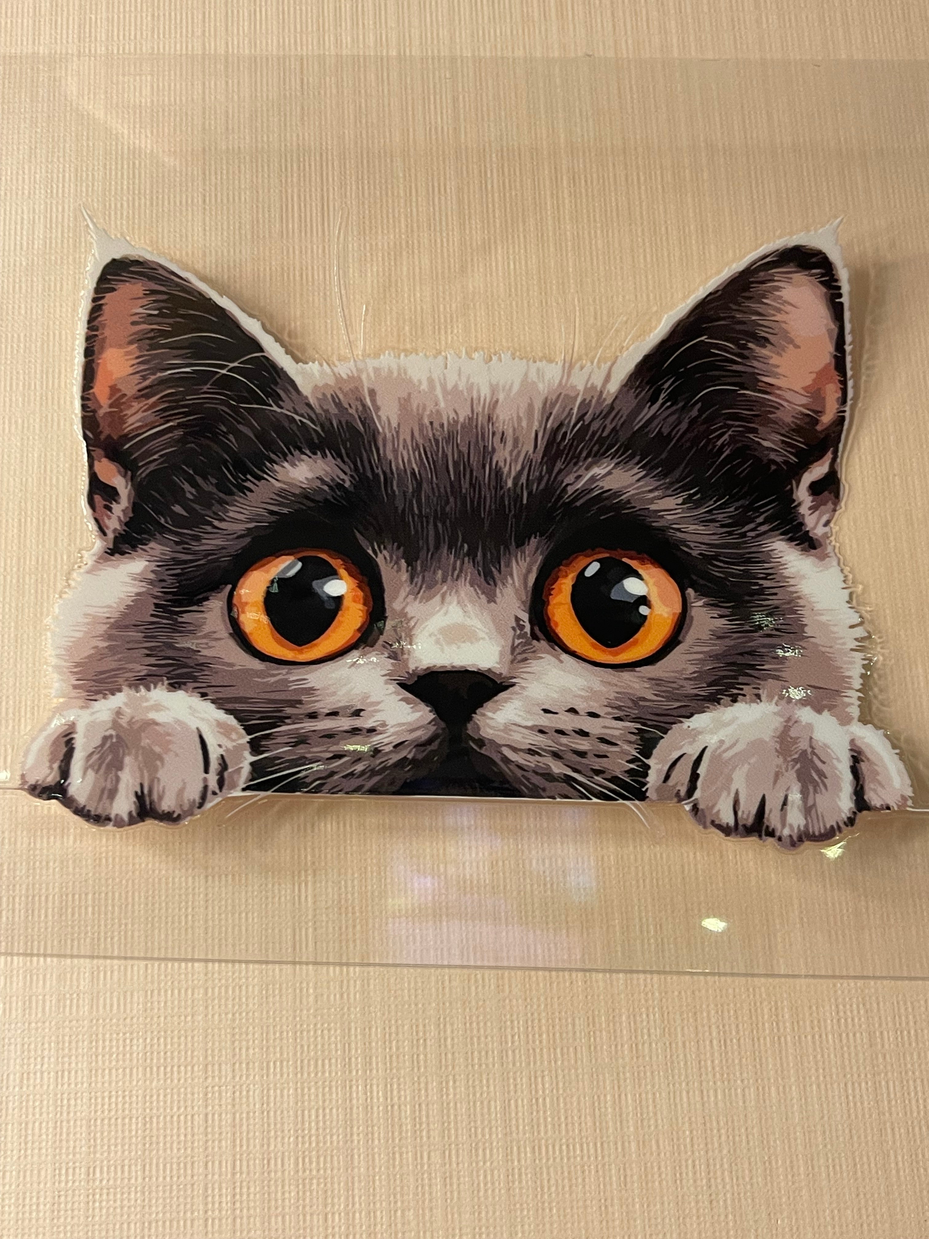 CAT decal